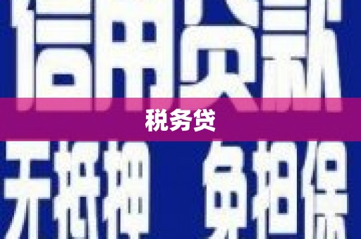 绩溪税务贷