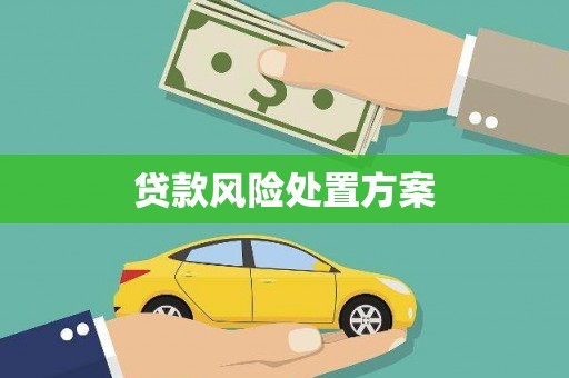 绩溪贷款风险处置方案