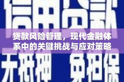 绩溪贷款风险管理，现代金融体系中的关键挑战与应对策略