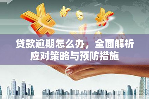 绩溪贷款逾期怎么办，全面解析应对策略与预防措施