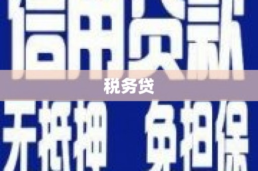 绩溪税务贷