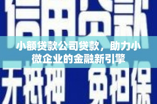 绩溪小额贷款公司贷款，助力小微企业的金融新引擎