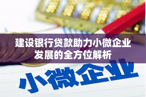 绩溪建设银行贷款助力小微企业发展的全方位解析