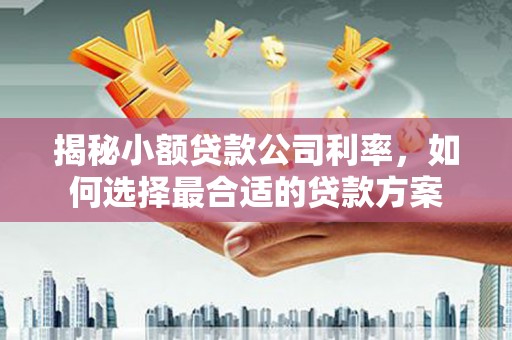 绩溪揭秘小额贷款公司利率，如何选择最合适的贷款方案