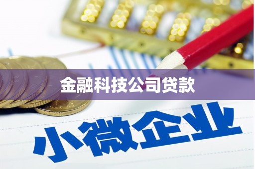 绩溪金融科技公司贷款