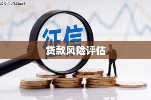 绩溪贷款风险评估