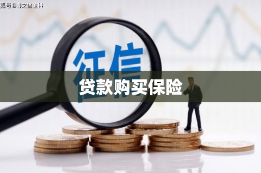 绩溪贷款购买保险