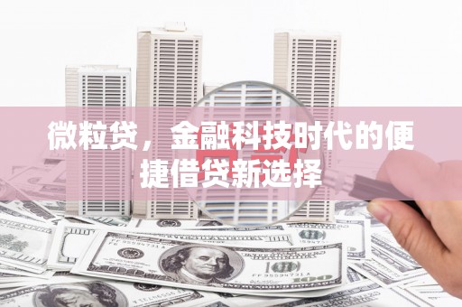 绩溪微粒贷，金融科技时代的便捷借贷新选择