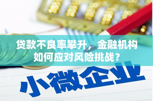 绩溪贷款不良率攀升，金融机构如何应对风险挑战？