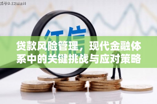 绩溪贷款风险管理，现代金融体系中的关键挑战与应对策略