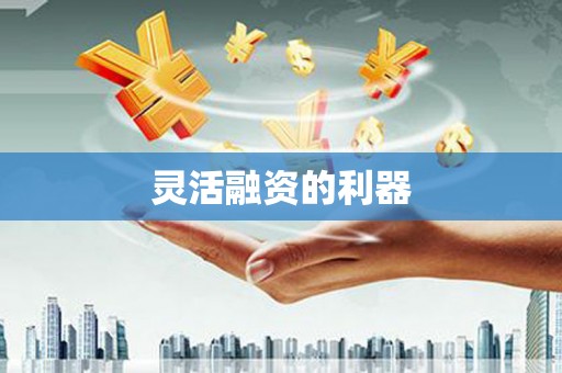 绩溪灵活融资的利器
