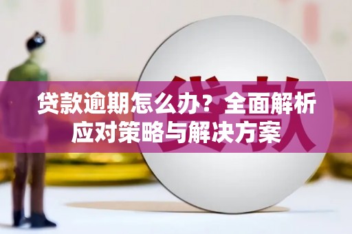 绩溪贷款逾期怎么办？全面解析应对策略与解决方案