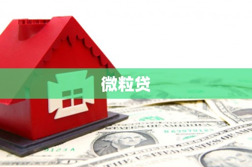 绩溪微粒贷