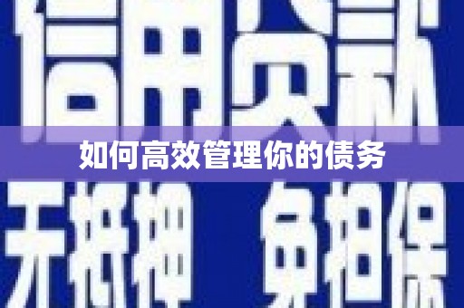 绩溪如何高效管理你的债务