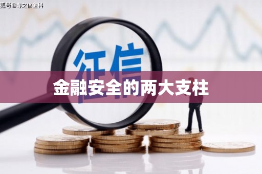 绩溪金融安全的两大支柱