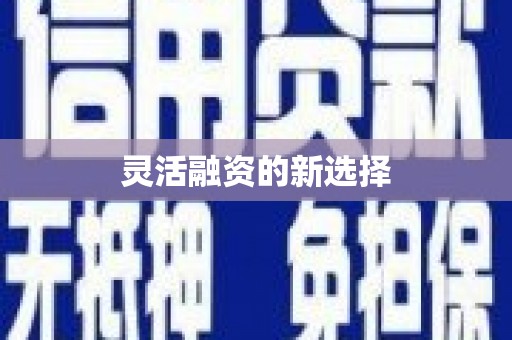 绩溪灵活融资的新选择