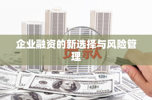绩溪企业融资的新选择与风险管理