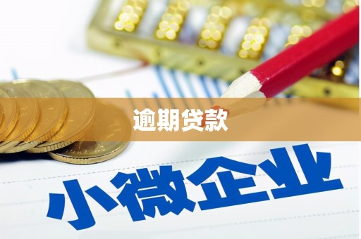 绩溪逾期贷款