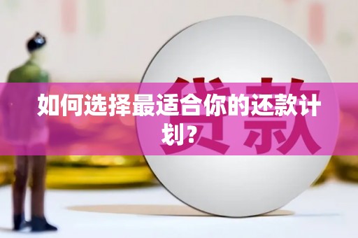 绩溪如何选择最适合你的还款计划？
