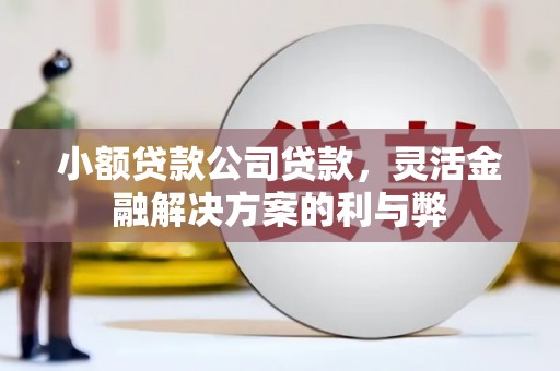 绩溪小额贷款公司贷款，灵活金融解决方案的利与弊